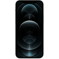iPhone 12 Pro Max (FaceTime – International Specs)