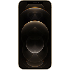 iPhone 12 Pro Max (FaceTime – International Specs)